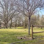 Maison 4 Ch Avec Cheminee, Billard Et Jardin